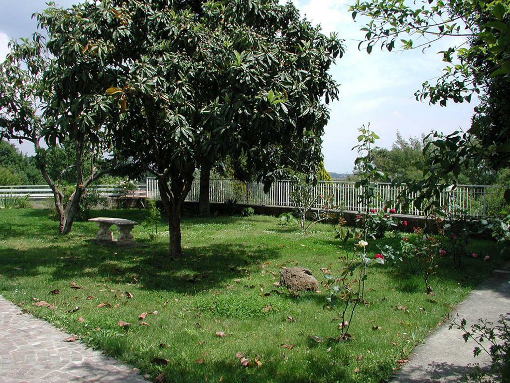 Oasi Di Pace Sutri Exterior foto